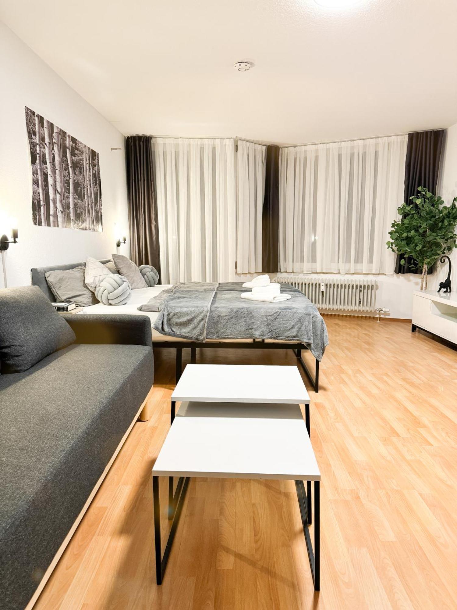 Modern Living In - Frieden Apartment